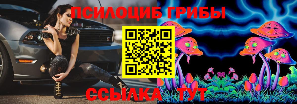 Валуйки  Псилоцибиновые грибы Psilocybe  Вход с VPN  Галлюциногенные грибы Cubensis 